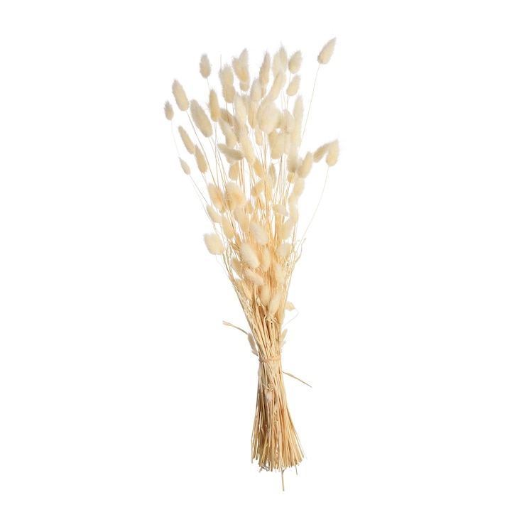 Trockenblumen-Bündel Samtgras